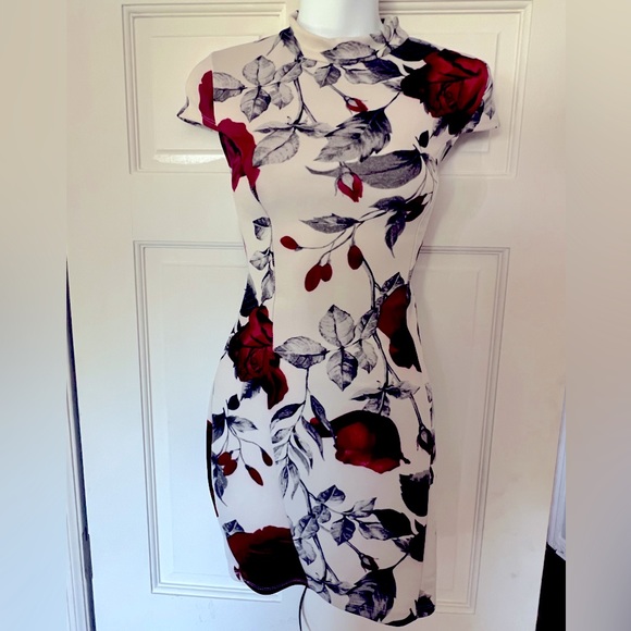 Discovery Dresses & Skirts - Discovery Rose Lace up mini Dress